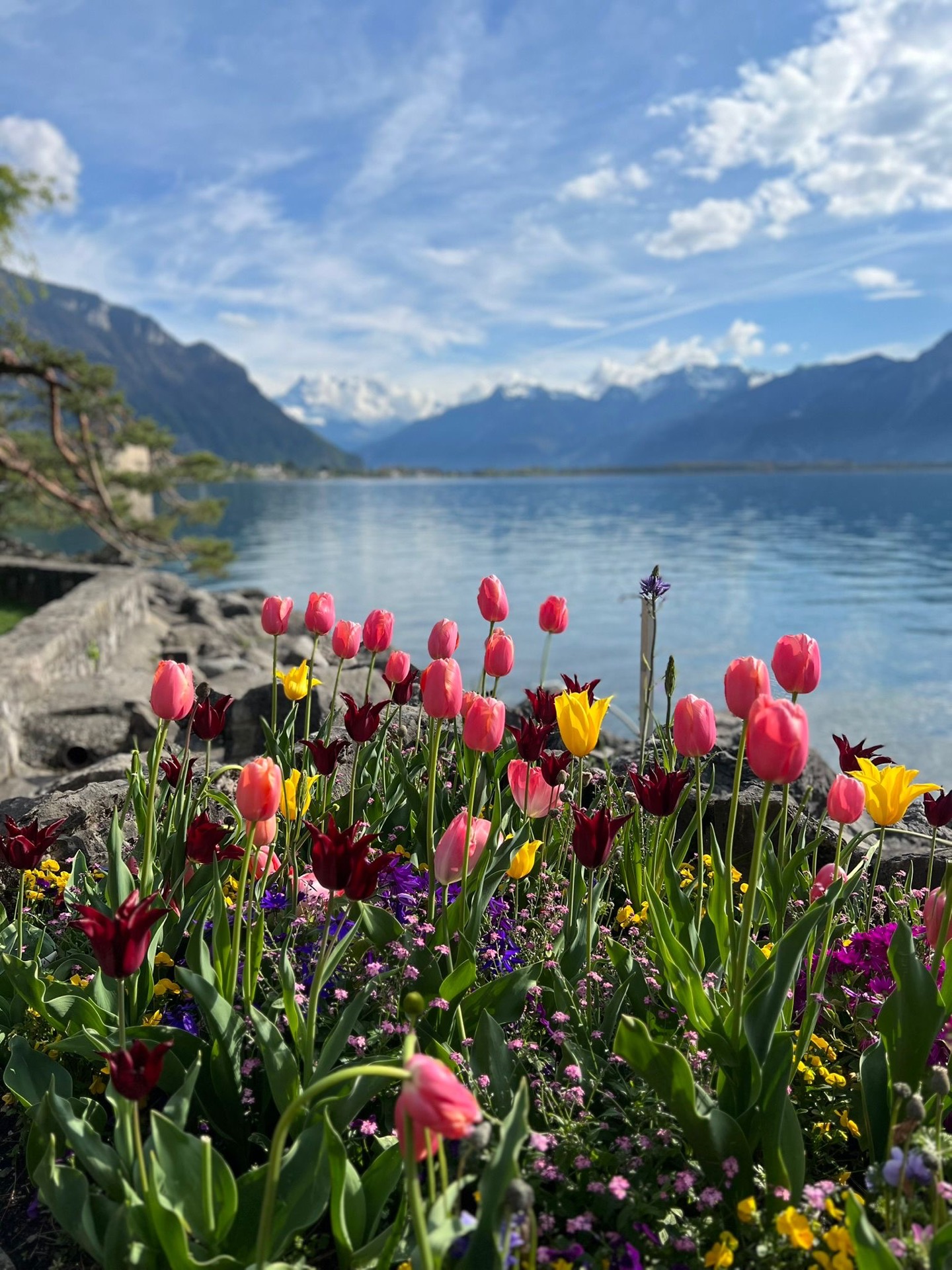 Les quais de Montreux