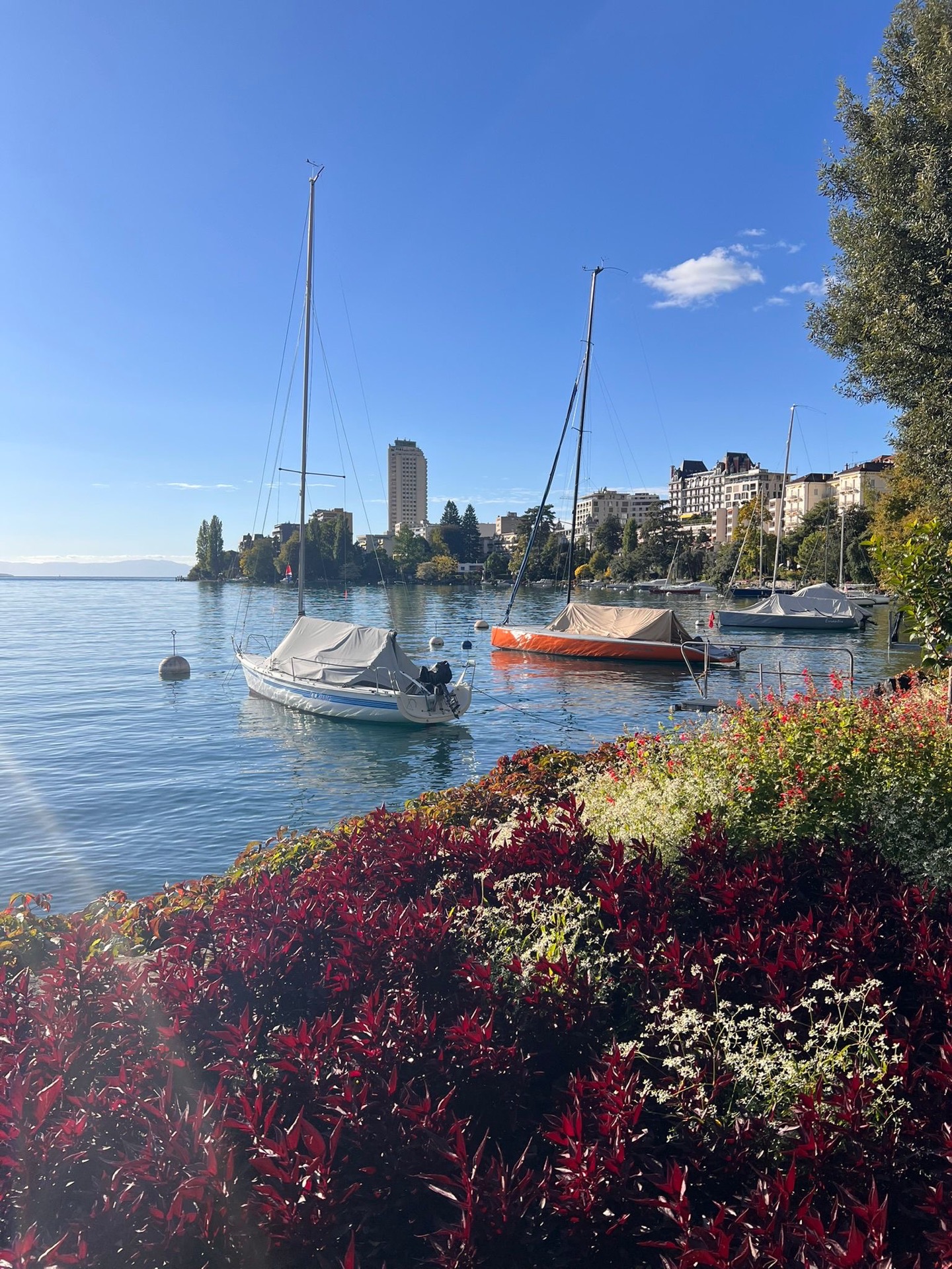 La mythique Tour d'Ivoire